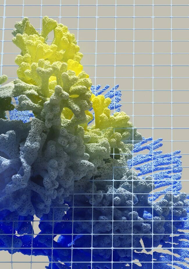Vibrant abstract 3D render featuring colorful coral-like structures against a grid background.